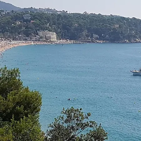 Nido Marino