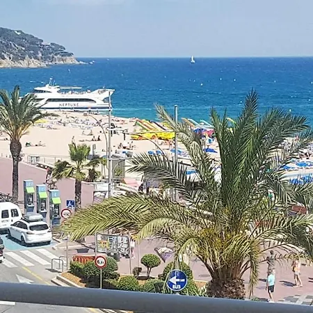 Nido Marino * يوريت دي مار