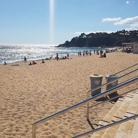 Nido Marino *